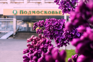 Прейскурант на отдых в санатории